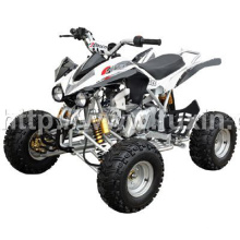 110 / 125cc ATV vehículo de la motocicleta del coche